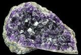 Purple Amethyst Cluster - Uruguay #66768-1